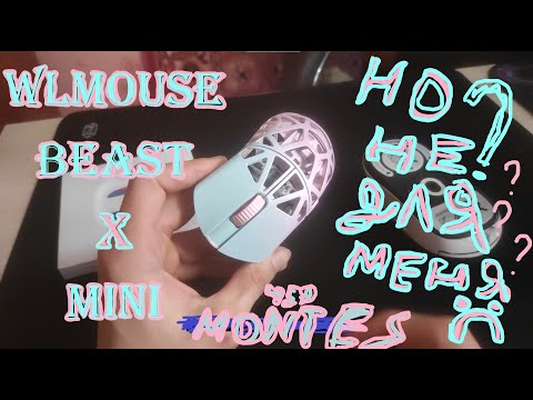 Видео: ОБЗОР Wlmouse beast x mini И ПОЧЕМУ ОНА МНЕ НЕ ПОНРАВИЛАСЬ!