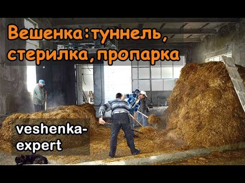 Видео: Туннель пастеризации субстрата вешенки, атмосферная стерилка.  Пропарка в баке