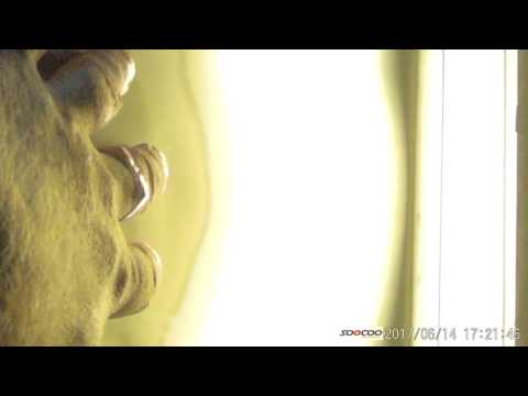 Видео: УДАЛЕНИЕ ВМЯТИН. ШКОЛА PDR. УРОК 8. ПОВРЕЖДЕНИЕ ДВЕРИ.