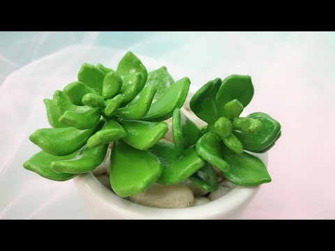 Видео: ABC TV | Как сделать суккулент - Учебник по рукоделию
