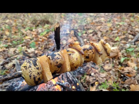 Видео: В поход с металлоискателем 1