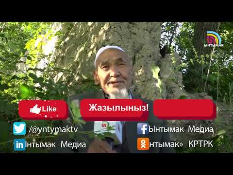 Видео: Тарых, чындык жана легенда | #Ынтымак