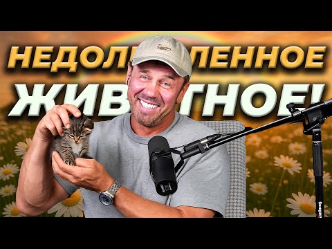 Видео: ВСЁ! ПРИСТАВЫ ЗАБЕРУТ ДЕТСКИЕ ИГРУШКИ!