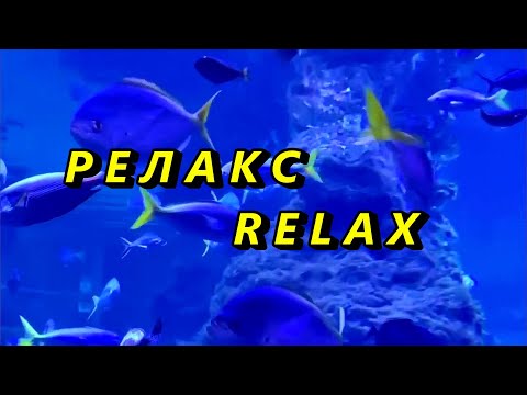 Видео: Релакс. Relax. Расслабляющая музыка для снятия стресса.