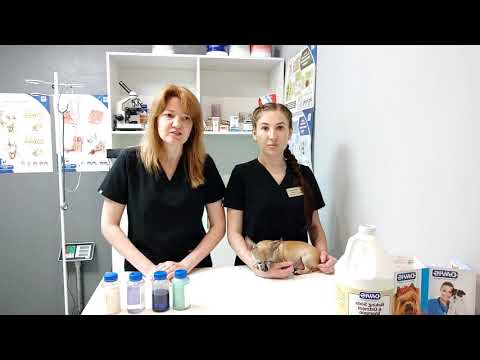 Видео: Как разводить шампуни