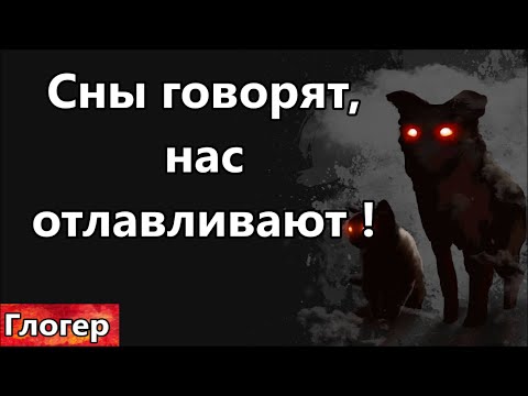 Видео: Сны предупреждают , нас отлавливают ! Не готовы застрелить командира , но готовы покончить с собой !
