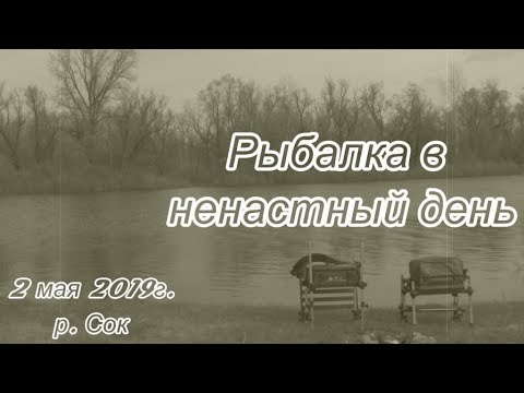 Видео: Рыбалка на фидер в ненастный день