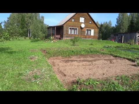 Видео: Из города в деревню / Жизнь в деревне / Копаем картошку / Начало грибного сезона