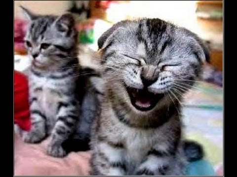 Видео: Как ребята фотки смотрели, истерика прилагается ;D