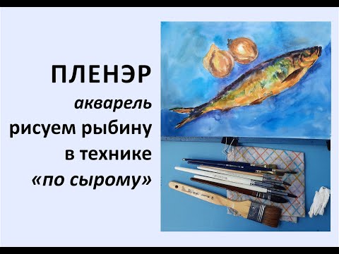 Видео: акварель по сырому, рисуем рыбу, селёдку