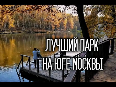 Видео: Ландшафтный заказник «Тёплый стан» сейчас. Тропаревский пруд. Осенние пейзажи леса.