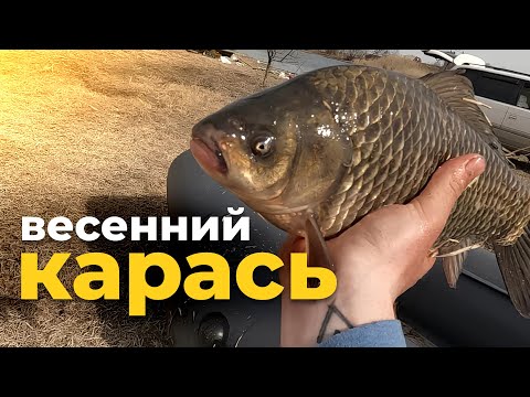Видео: КАРАСИ НА ПОПЛАВОК в КАМЫШАХ! БЕШЕННЫЙ КЛЕВ! ОТКРЫТИЕ РЫБАЛКИ ПО ОТКРЫТОЙ ВОДЕ НА КАПЧАГАЕ! 23.03.25