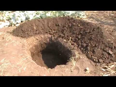 Видео: Про посадочную яму для винограда