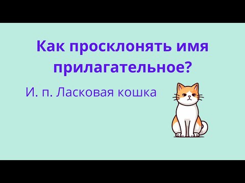 Видео: Падежи имён прилагательных. Как просклонять имя прилагательное?