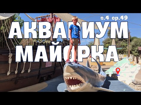 Видео: Майорка не отпускает. Зубной. ДР Никиты s.4 ep.49