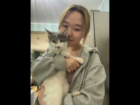 Видео: Гэртээ Cookie хийцгээе❤️ эннитэй цуг байгаарай