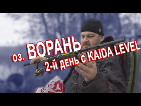 Видео: БЛУДНЫЙ КОТ - 2-й день с KAIDA Level feeder 3.6