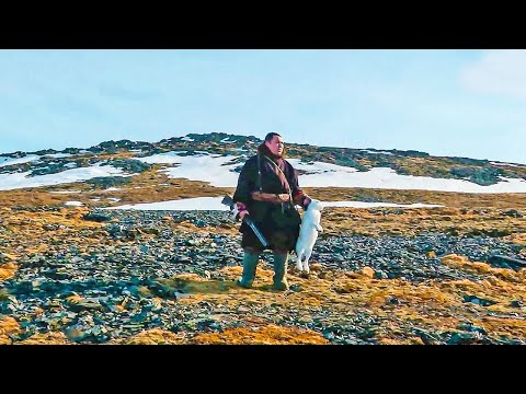 Видео: Охота на гуся, утку и зайца. Рыбалка осенью и зимой на Севере | С полем! Лучшие выпуски