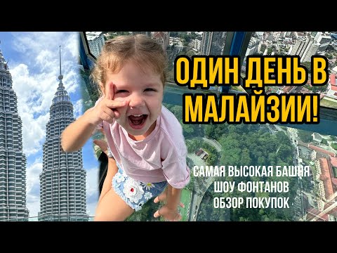 Видео: Один день в Малайзии с Никой!Прилетели в Куала-Лумпур,башни Петронас,телебашня Менара,зоопарк!