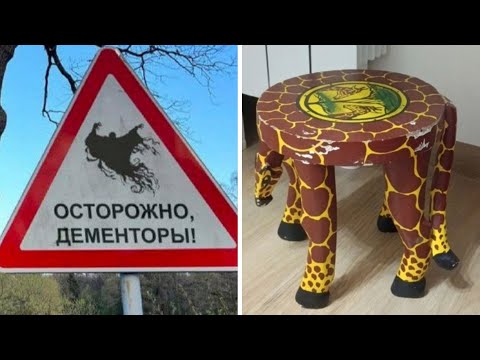 Видео: Фото подписчиков Фактории (242 часть)