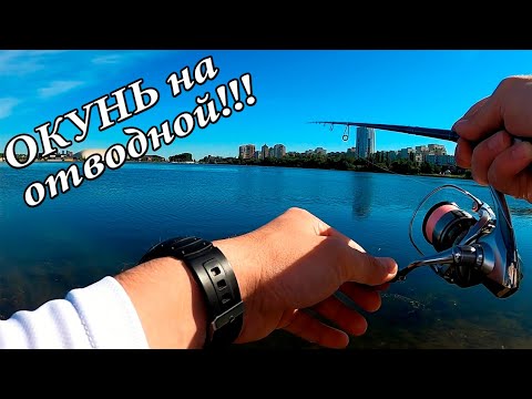 Видео: Рыбалка на отводной поводок! Ловим окуня в центре города!!!