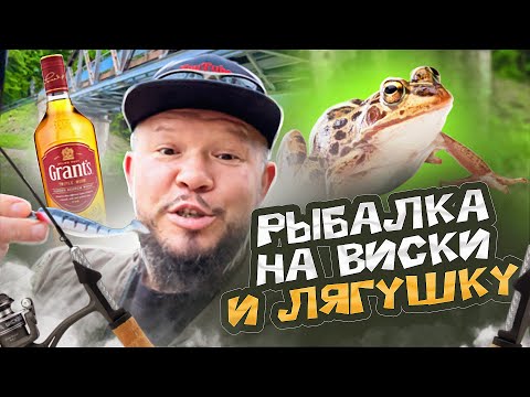Видео: РЫБАЛКА В ГЕРМАНИИ КАК Я НА ЛЯГУШКУ И ВИСКИ РЫБУ ЛОВИЛ В СЕКРЕТНЫХ МЕСТАХ