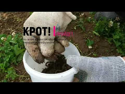 Видео: Установка банки