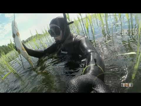 Видео: 2021 №9 ЕСТЬ ПЛОТВА