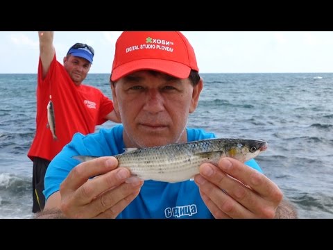 Видео: Риболов на платерина в Керамоти - 2016 www.digitalstudio.bg