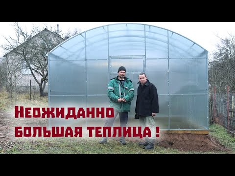 Видео: Смонтировали неожиданно большую теплицу на участке!