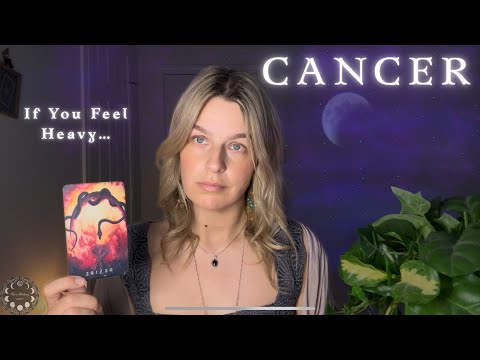 Видео: РАК ♋︎ Вас уже достаточно долго проверяли — БЛАГОСЛОВЕНИЕ начинается СЕЙЧАС ♋︎ Знак зодиака Рак