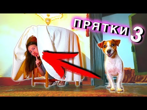 Видео: ИГРАЕМ в ПРЯТКИ В Доме Призраке с Собакой Джиной | Elli Di Pets