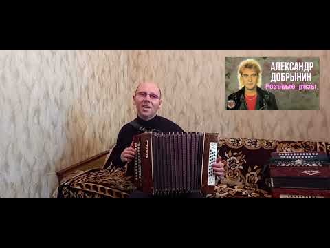 Видео: "Розовые розы".("Светка Соколова").Кавер-версия.Гармонь.
