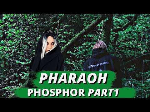 Видео: PHARAOH - PHOSPHOR| Реакция ВАМПИРА