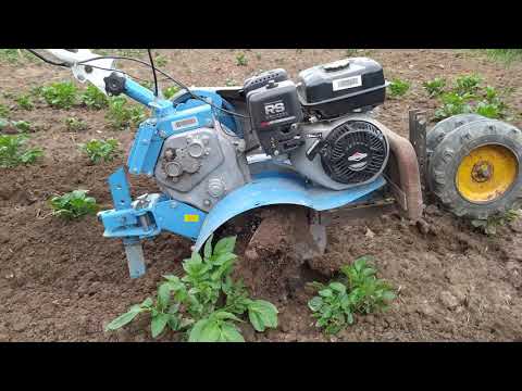 Видео: Окучивание картофеля мотоблоком, первое 2020. Роторный окучник. Hoeing potatoes. Rotary spud.