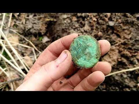 Видео: Атака клещей. Поиск ранней весной