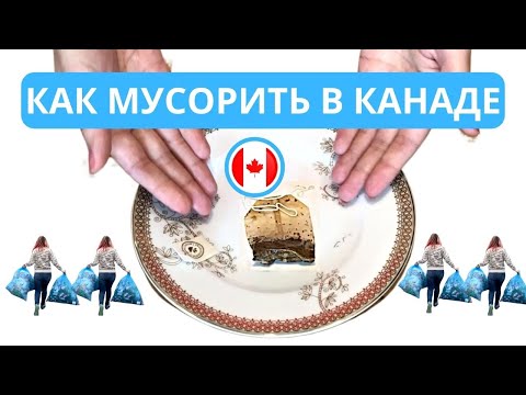 Видео: Правда ли что Ванкувер самый чистый город в Канаде?
