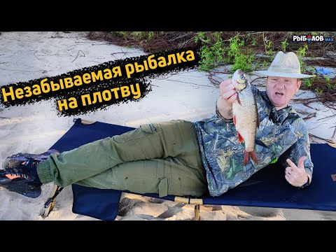 Видео: Волга плотва выпрыгивает на берег. Фидерная рыбалка на плотву. Что лучше донка или фидер. Прикормка