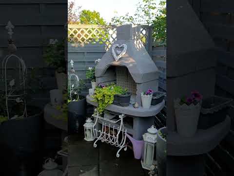 Видео: Mаленький сад с розами 02.06.2023.