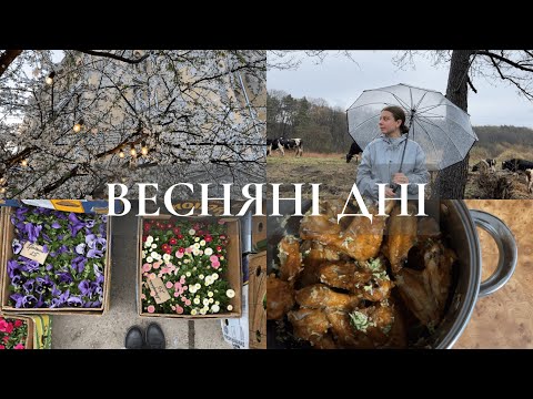 Видео: Весняні дні | покупки, міські прогулянки, звуки природи