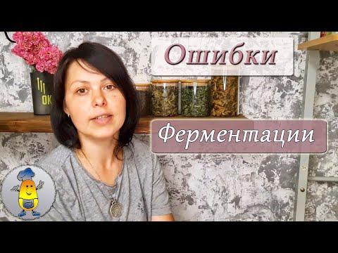 Видео: Что такое ферментация чая простыми словами. Все ошибки ферментации - отвечаю на комментарии