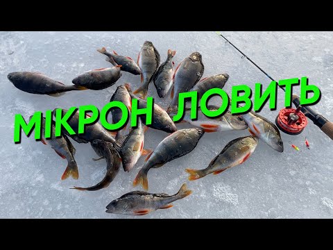 Видео: #Сула# ЛОВИМ ОКУНЯ на балансир ! МІКРОН це КРАЩИЙ БАЛАНСИР на ОКУНЯ ! ВІН ЛОВИТЬ і ЛОВИТЬ і ЛОВИТЬ