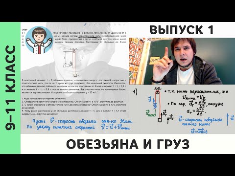 Видео: Выпуск 1 | Обезьяна и груз | Физика, Михаил Пенкин