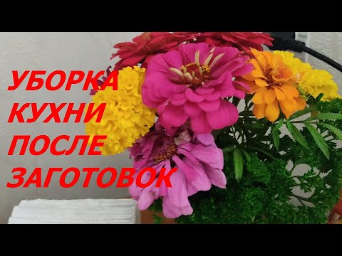 Видео: ОСЕННЯЯ УБОРКА КУХНИ. ЗАГОТОВКИ СДЕЛАНЫ, НАВОДИМ ПОРЯДОК.
