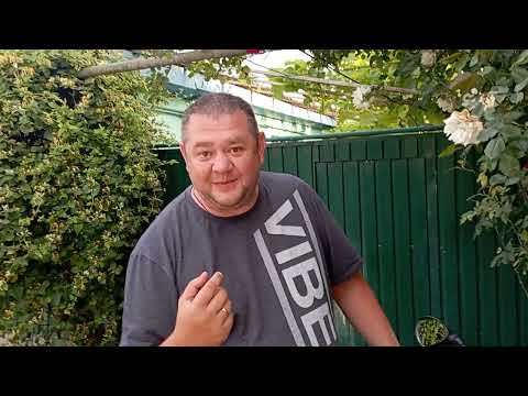 Видео: Обзор GR 500 9 июня 2023 г.
