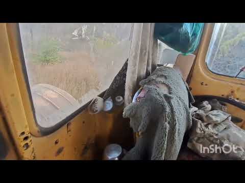 Видео: 15 октября 2025 г.