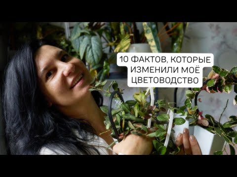 Видео: Десять фактов, которые изменили моё цветоводство 