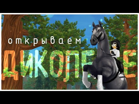 Видео: ОТКРЫВАЕМ ДИКОЛЕСЬЕ! STAR STABLE! ✨🍃