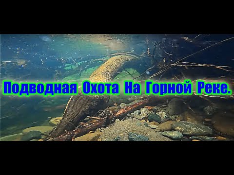 Видео: Подводная охота на горной реке.\\  Добыл ленка и гольца. Underwater hunting on a mountain river.