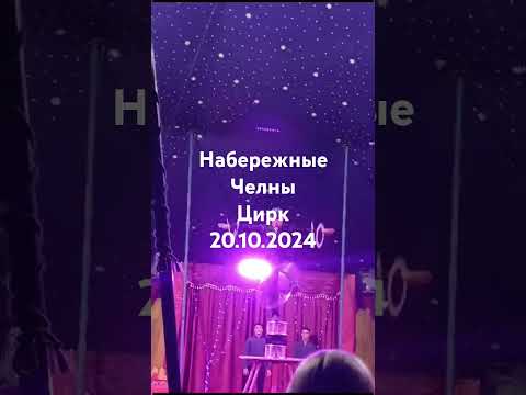 Видео: 20.10.2024. Хочется разнообразить Жизнь, сходи в Цирк! #нашажизньлн #татарстан